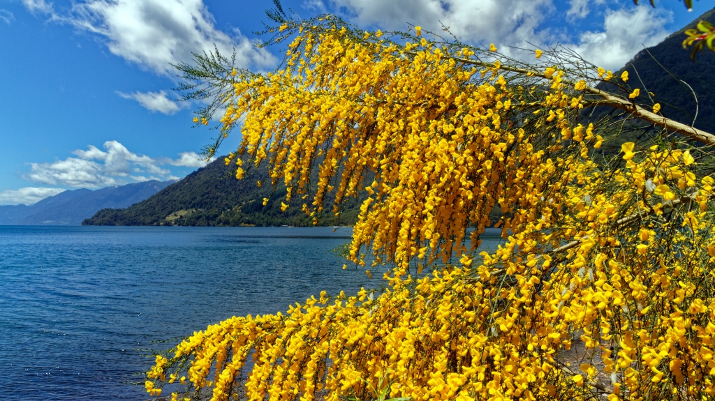 10 - Puerto Varas (7).jpg